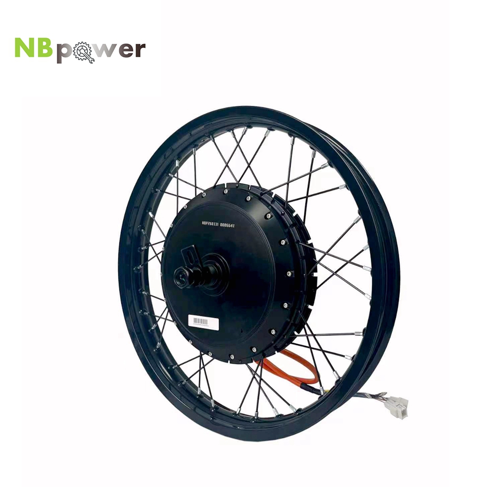 NBpower/170mm Dropout QS 273 4 - Qs Motor 273 8000W Hub Motor ulasan dan harga